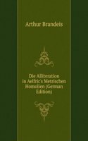 Die Alliteration in Aelfric's Metrischen Homolien (German Edition)