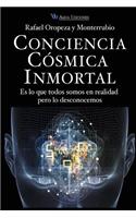 Conciencia Cosmica Universal