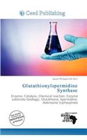 Glutathionylspermidine Synthase: (English)