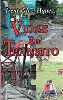 Vidas en tránsito