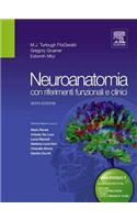 Neuroanatomia