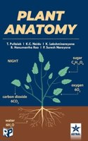 Plant Anatomy