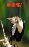 Anhinga: Children's Books --- Amazing Pictures & Fun Facts on Animals in Nature