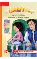 Reading Wonders Leveled Reader a Special Sunset: Approaching Unit 3 Week 2 Grade 2