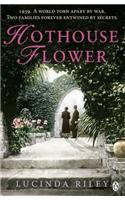 Hothouse Flower