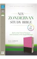 Study Bible-NIV