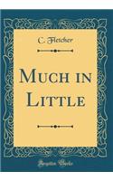 Much in Little (Classic Reprint)