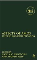 Aspects of Amos