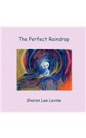 The Perfect Raindrop