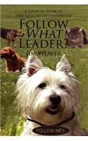 Follow What Leader?