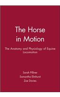 The Horse in Motion