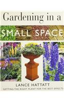 Gardening in a Small Space (Mini Gardening)