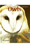 Owls