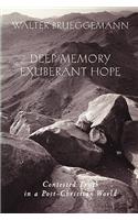 Deep Memory, Exuberant Hope: Contested Truth in a Post-Christian World(English)
