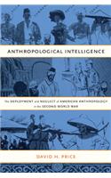 Anthropological Intelligence