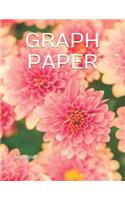 Graph Paper