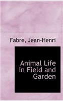 Animal Life in Field and Garden