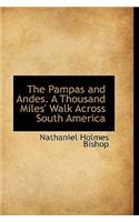 The Pampas and Andes. a Thousand Miles' Walk Across South America