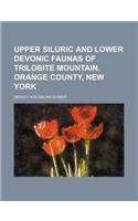 Upper Siluric and Lower Devonic Faunas of Trilobite Mountain, Orange County, New York: (English)