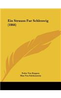 Ein Strauss Fur Schleswig (1866)