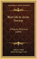 Bird Life In Arctic Norway
