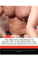 The Multiple Meanings of Black, Vol. 3