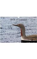 Birds of Iceland 2018