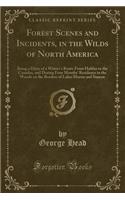 Forest Scenes and Incidents, in the Wilds of North America: Being a Diary of a Winter's Route from Halifax to the Canadas, and During Four Months' Residence in the Woods on the Borders of Lakes Huron and Simcoe (Classic Reprint)