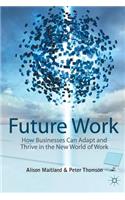 Future Work