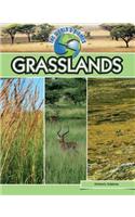 Grasslands