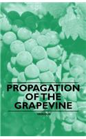 Propagation of the Grapevine