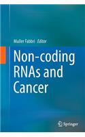 Non-Coding Rnas and Cancer