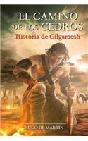 Camino de los Cedros