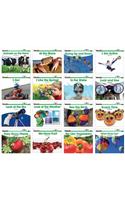 Sight Word Readers Science Single Copy Set