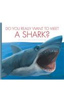 Do You Really Want to Meet a Shark?