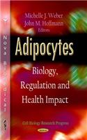 Adipocytes