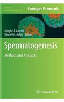 Spermatogenesis