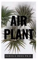 Air Plant
