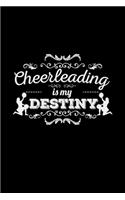 Cheerleading is my destiny