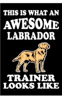 This is what an awesome Labrador Trainer Looks Like