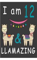 I Am 12 And Llamazing