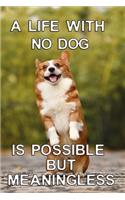A life with no dog is possible but meaningless
