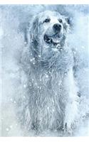 Golden Retriever Notebook