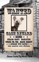 Chinese Crested Dog Wanted Poster