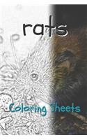 Rat Coloring Sheets