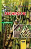 Sugarcane