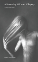 Haunting Without Allegory