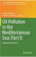 Oil Pollution in the Mediterranean Sea: Part II