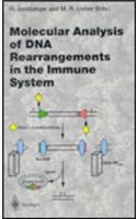 Molecular Analysis of DNA Rearrangements in the Immune System