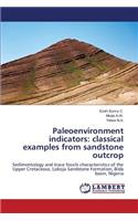 Paleoenvironment indicators